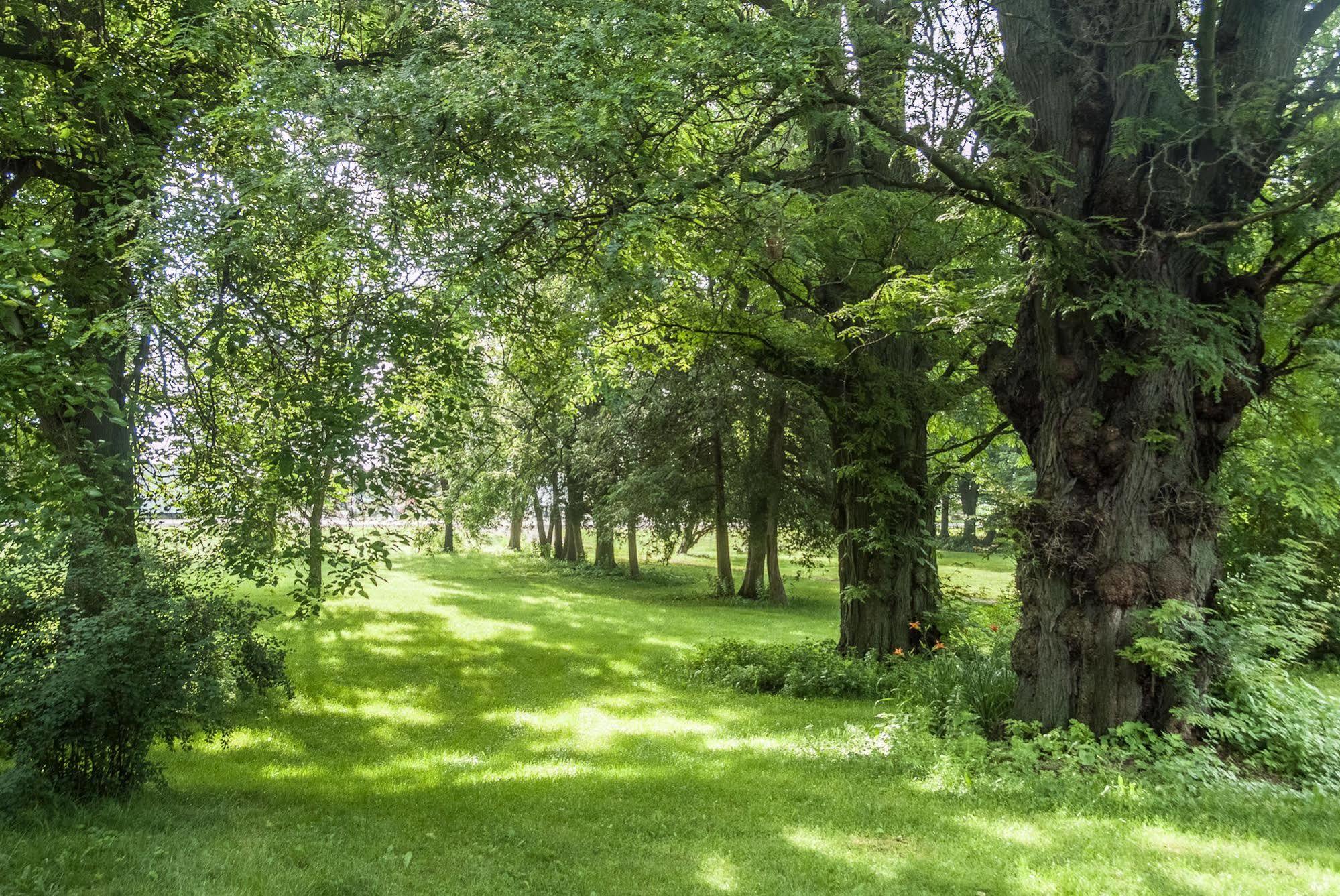 Culverdene House Simcoe Luaran gambar