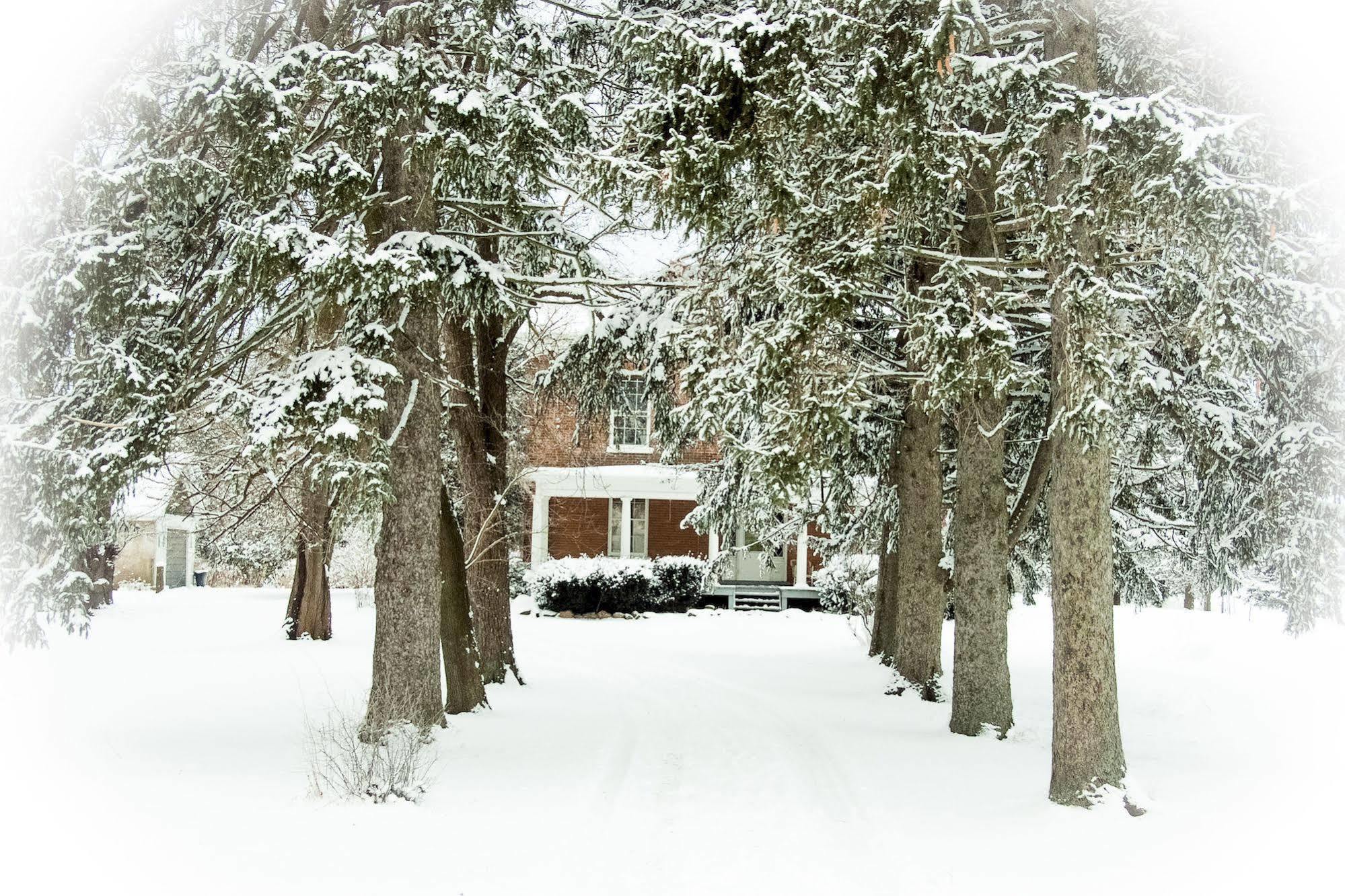 Culverdene House Simcoe Luaran gambar